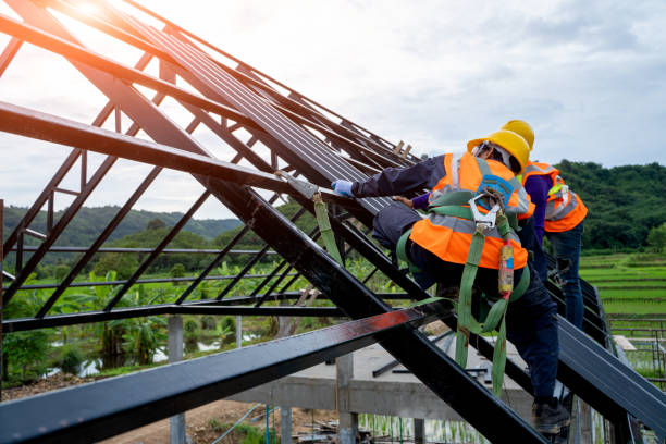 Best Residential Roofing Contractor  in Mount Morris, MI