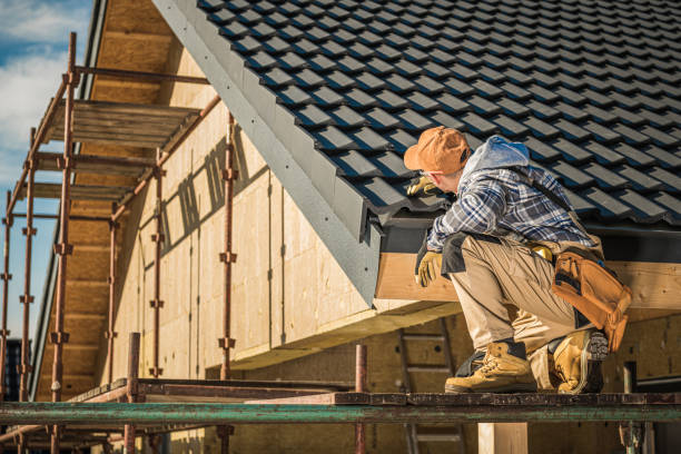 Best Roof Gutter Cleaning  in Mount Morris, MI