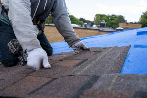 Gutter Installation and Roofing in Mount Morris, MI