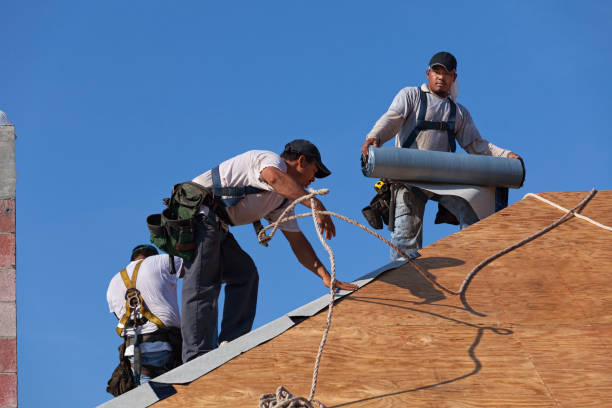 Best Metal Roofing Contractor  in Mount Morris, MI