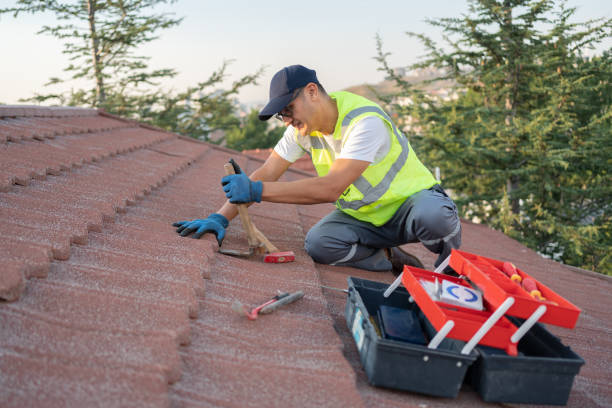 Best Storm Damage Roof Repair  in Mount Morris, MI