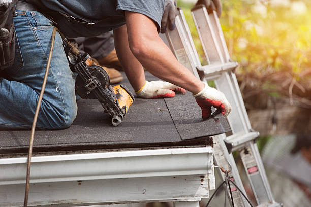 Best Roof Repair Estimates  in Mount Morris, MI