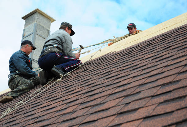 Best Roof Installation Near Me  in Mount Morris, MI