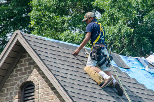 Roof Installation Near Me in Mount Morris, MI
