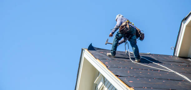 Best Roofing Contractor Near Me  in Mount Morris, MI